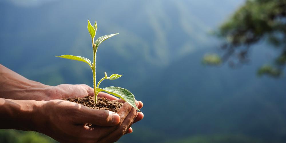 Soluciones inteligentes de sostenibilidad en el entorno rural