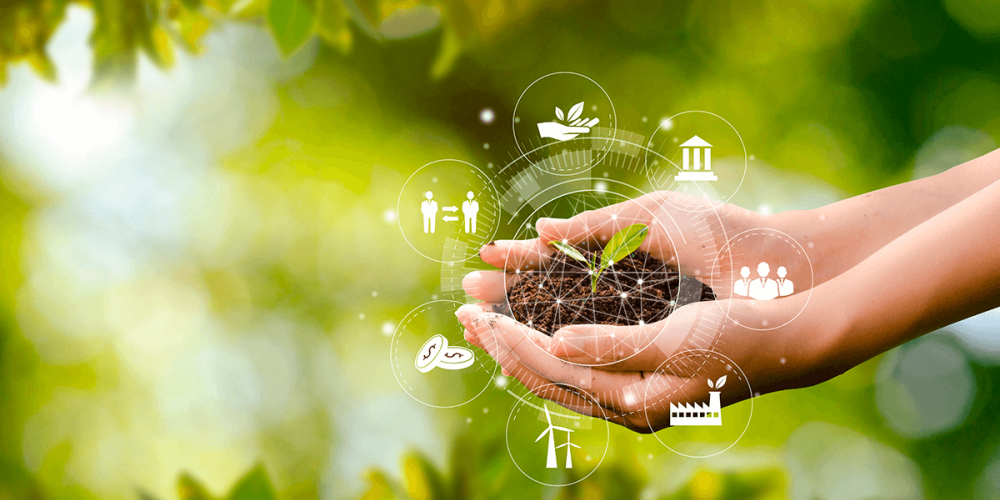 Gestión ambiental